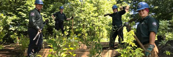 Vermont Youth Conservation Corps crew works on a soil retention project. Photo: VYCC Four young adults with blue hard hats work with tools on wooden structures and plantings in the forest